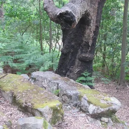 Castelo Da Fonte Nyaraló *